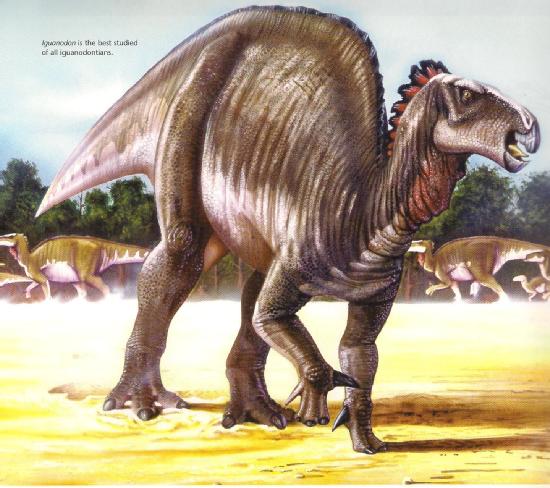 foto iguanodon