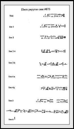 Caso n.° 873 del papiro de Ebers